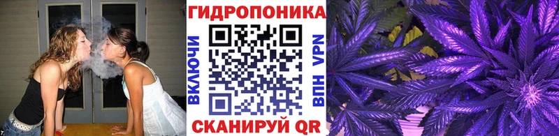 Бошки марихуана гибрид kraken tor Солнечногорск наркотики